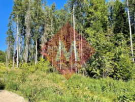 Продается земельный участок